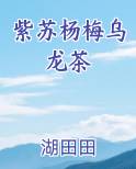 紫苏杨梅乌龙茶