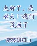 太好了，是老大！我们没救了