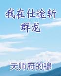 我在仕途斩群龙