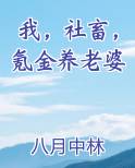 我，社畜，氪金养老婆免费阅读笔趣阁