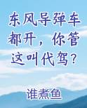 东风导弹车都开你管这叫代驾 谁煮鱼