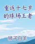 重返十七岁的球场王者