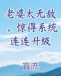 老婆太无敌，惊得系统连连升级