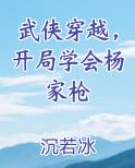 武侠穿越，开局学会杨家枪