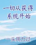 一切从获得系统开始