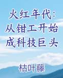 火红年代：从钳工开始成科技巨头