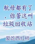 航母都有了，你管这叫垃圾回收站