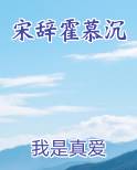 宋辞霍慕沉