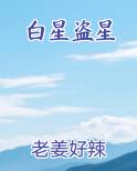 白星盗星完结小说