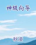 神级向导